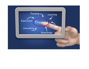 Training, teaching, experience, learning, consulting, knowledge, skills Training, teaching, experience, learning, consulting, knowledge, skills